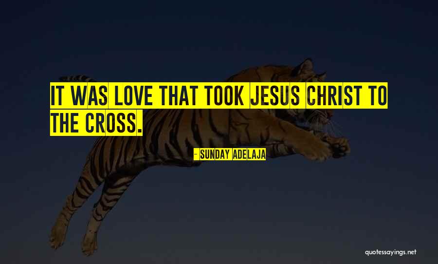 Jesus Sacrifice On The Cross Quotes By Sunday Adelaja