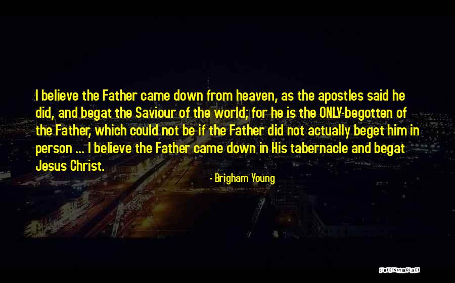 Jesus Saviour Quotes By Brigham Young Jesus Saviour Quotes By Brigham Young