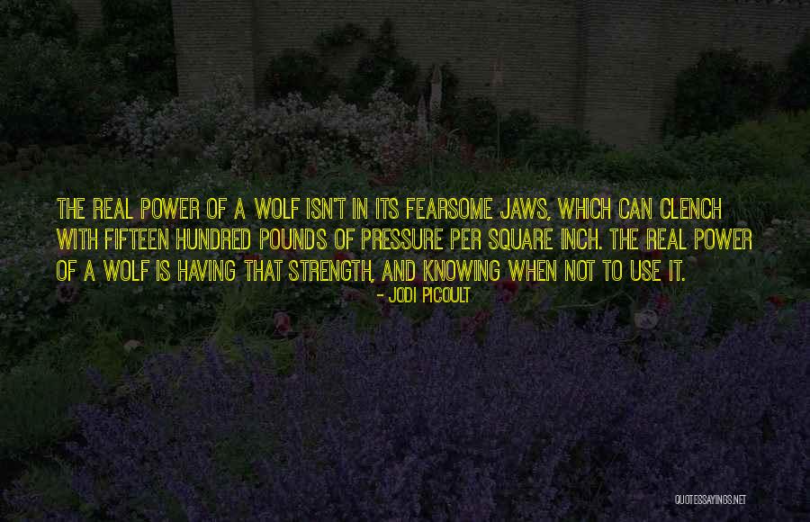 Jesus Wallpaper And Quotes By Jodi Picoult Jesus Wallpaper And Quotes By Jodi Picoult