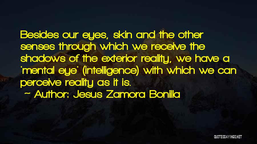 Jesus Zamora Bonilla Quotes 1341333