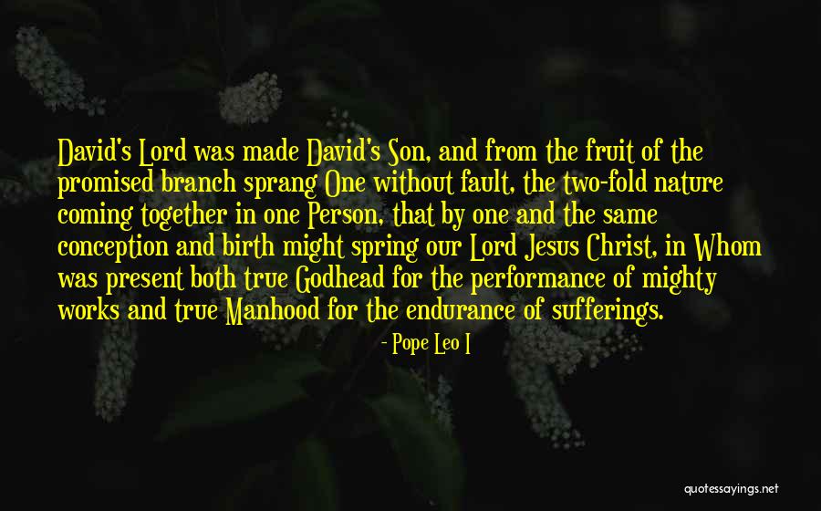 Jesus's Birth Quotes By Pope Leo I