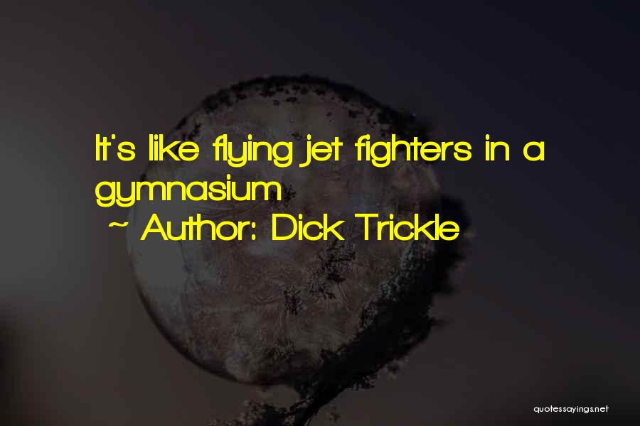 Jet Fighters Quotes By Dick Trickle