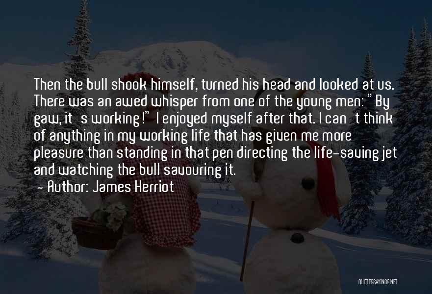 Jet Life Quotes By James Herriot