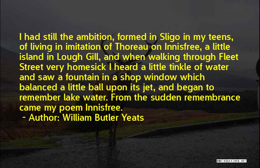 Jet Life Quotes By William Butler Yeats