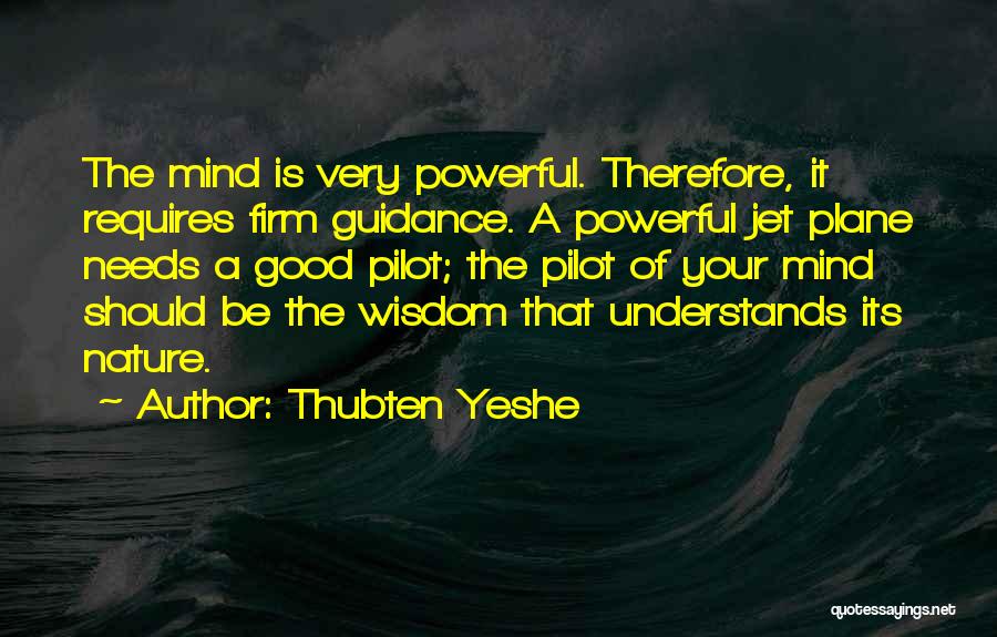 Jet Pilot Quotes By Thubten Yeshe