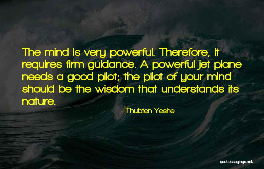 Jet Plane Quotes By Thubten Yeshe