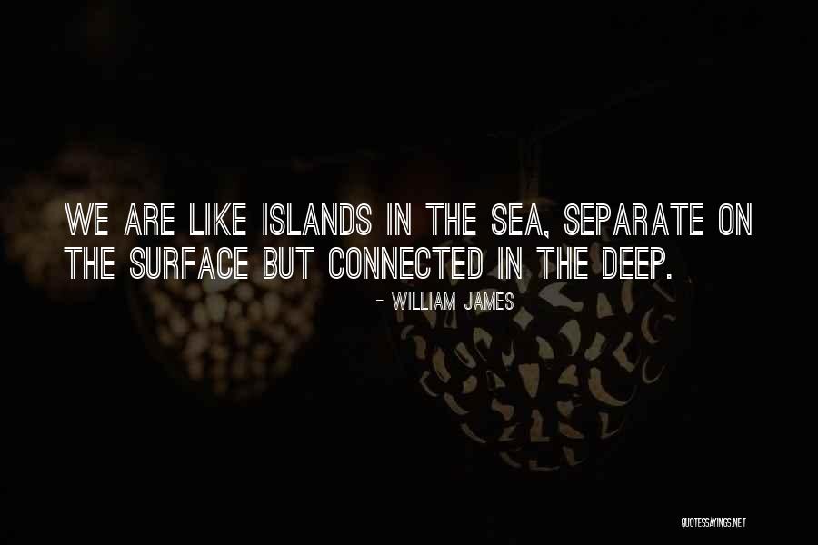 Jetblue Quotes By William James Jetblue Quotes By William James