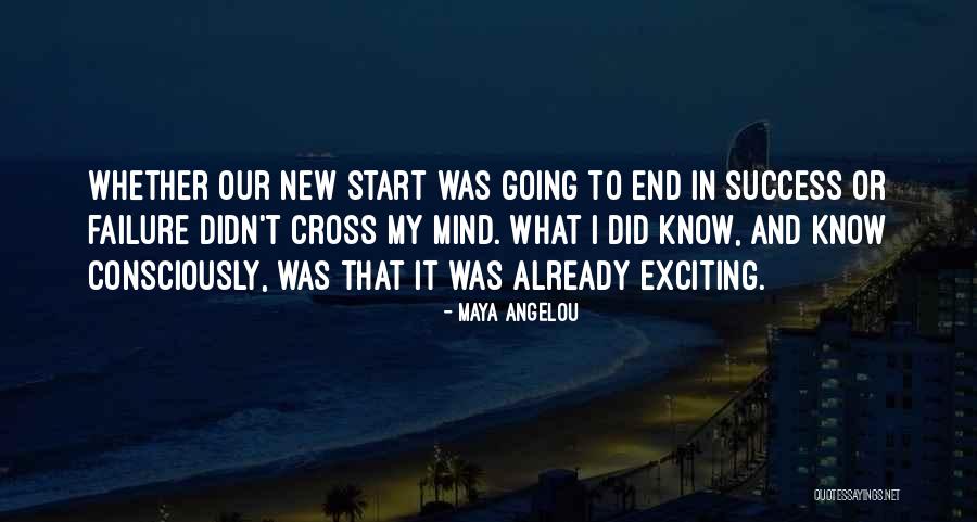 Jetfire Funko Quotes By Maya Angelou Jetfire Funko Quotes By Maya Angelou