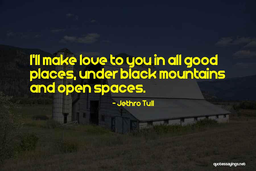 Jethro Tull Quotes 1149856