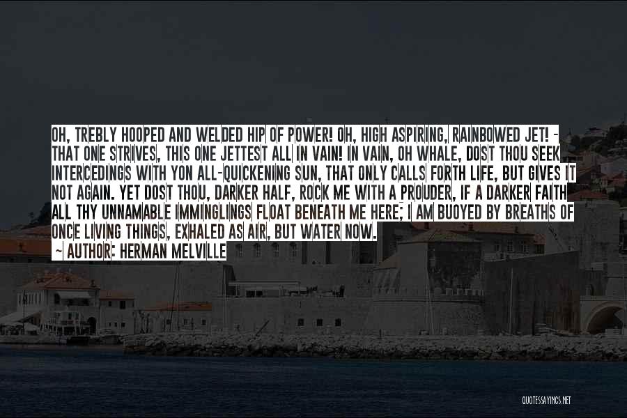 Jet's Life Quotes By Herman Melville