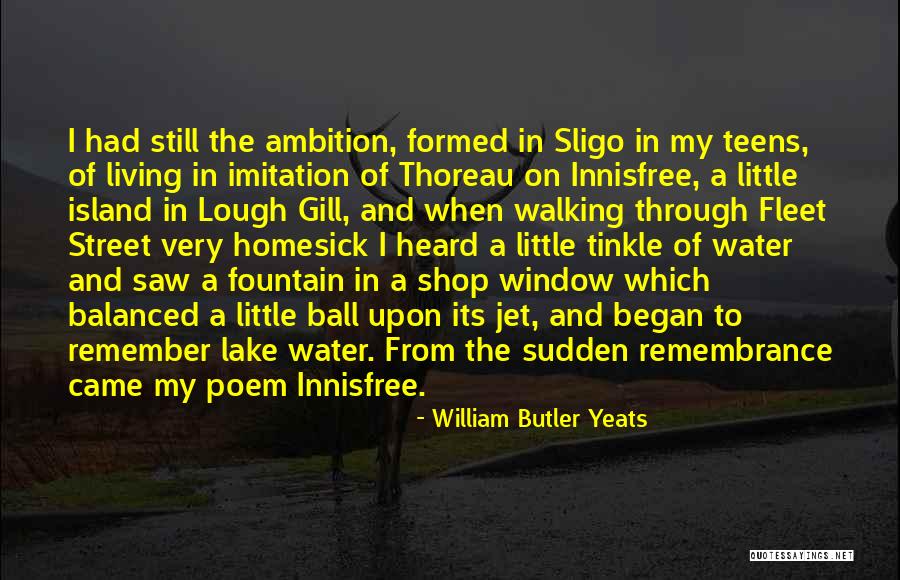 Jet's Life Quotes By William Butler Yeats