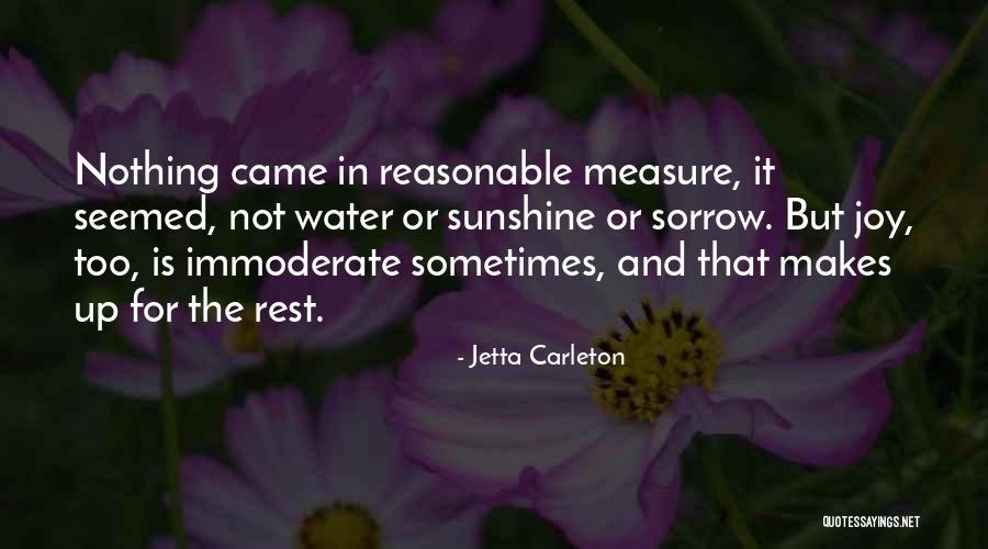 Jetta Carleton Quotes 1748905