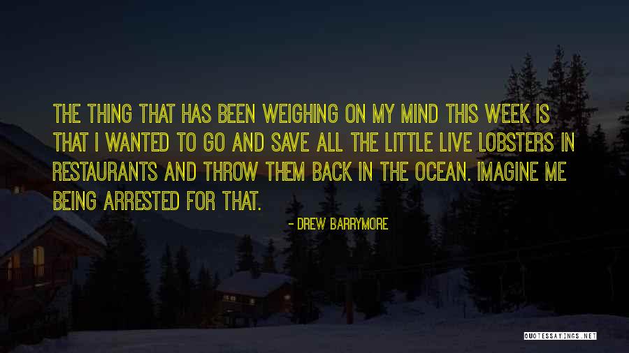 Jettison Antonyms Quotes By Drew Barrymore Jettison Antonyms Quotes By Drew Barrymore