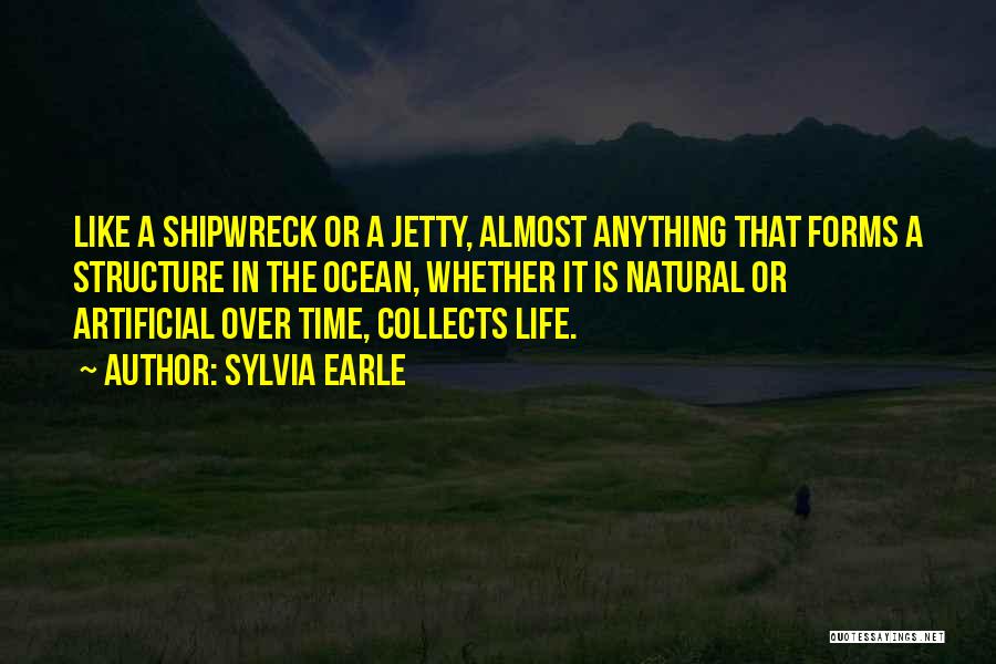 Jetty Quotes By Sylvia Earle