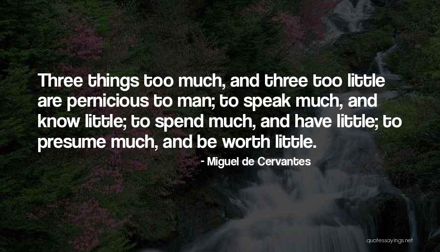 Jetzer Thomas Quotes By Miguel De Cervantes Jetzer Thomas Quotes By Miguel De Cervantes