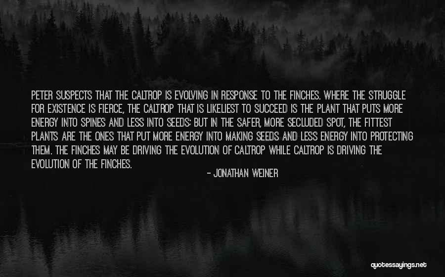 Jevrosimovic Veselin Quotes By Jonathan Weiner Jevrosimovic Veselin Quotes By Jonathan Weiner