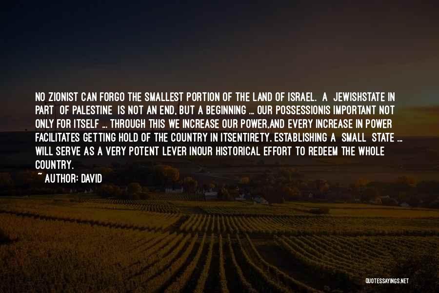 Jewishstate Quotes By David