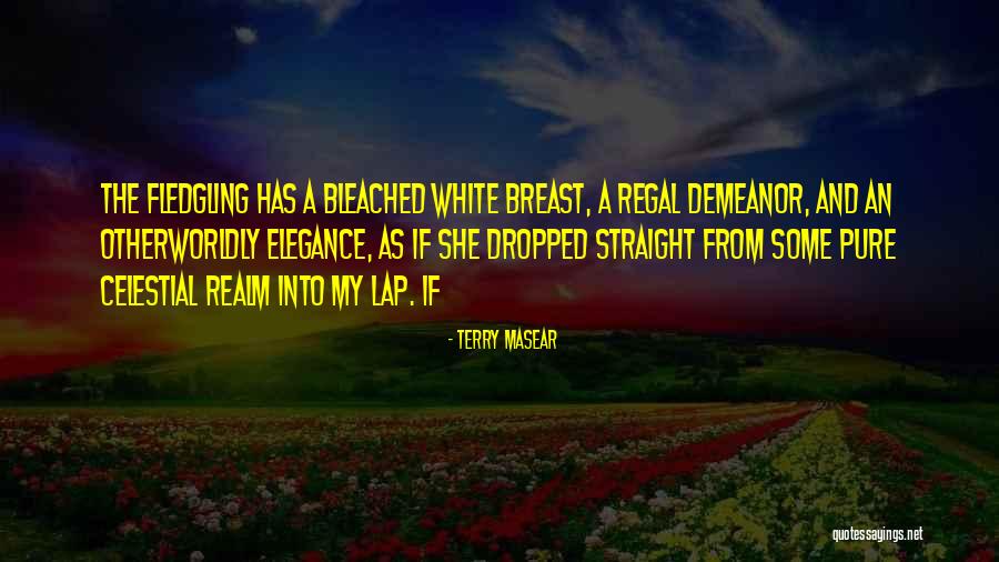 Jhalak Tumhari Quotes By Terry Masear Jhalak Tumhari Quotes By Terry Masear