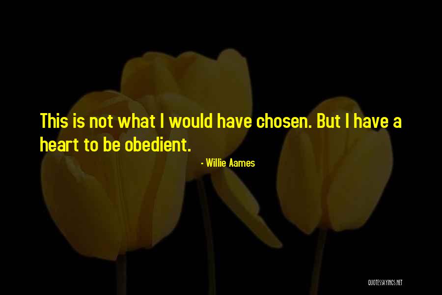 Jhantu Quotes By Willie Aames