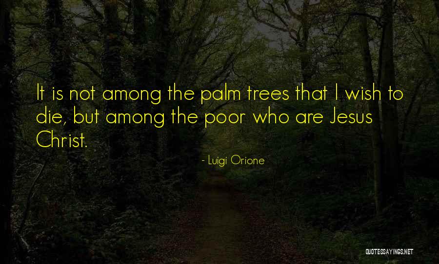 Jhule Lal Quotes By Luigi Orione Jhule Lal Quotes By Luigi Orione