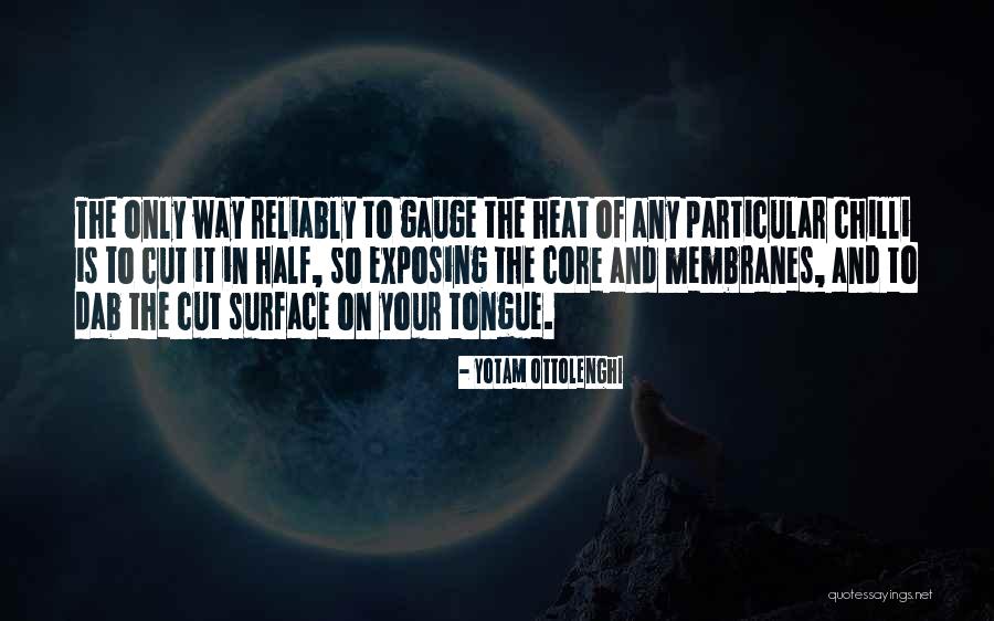 Jhumka Quotes By Yotam Ottolenghi Jhumka Quotes By Yotam Ottolenghi