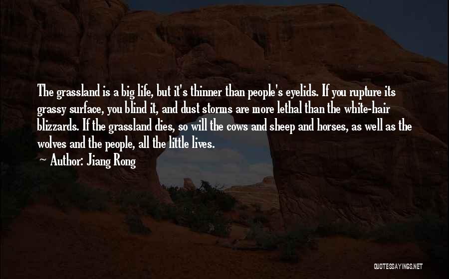 Jiang Rong Quotes 284436