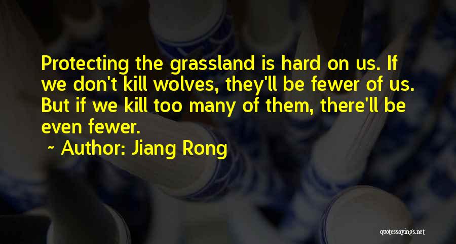 Jiang Rong Quotes 471417