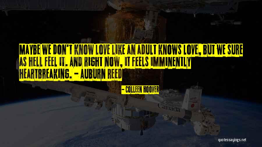 Jibola Bisiriyu Quotes By Colleen Hoover Jibola Bisiriyu Quotes By Colleen Hoover