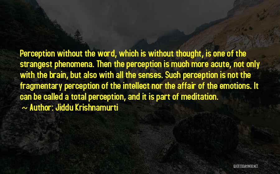 Jiddu Krishnamurti Meditation Quotes By Jiddu Krishnamurti