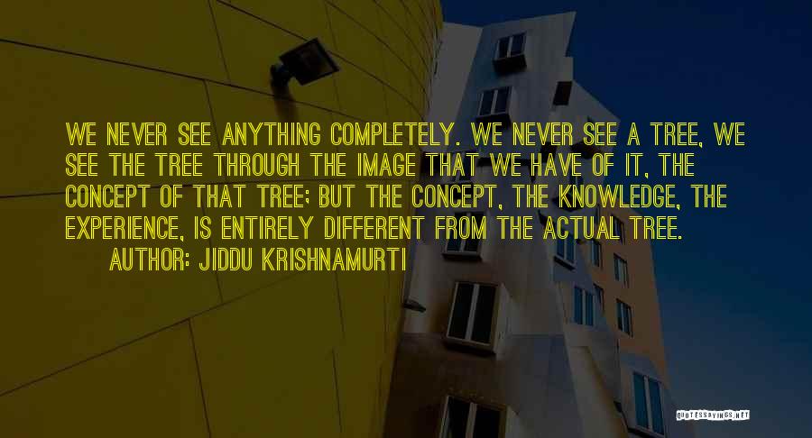 Jiddu Krishnamurti Quotes 1336722