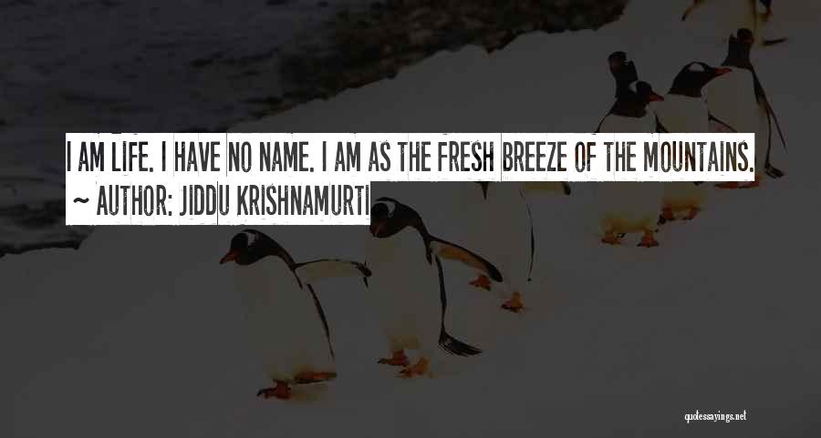 Jiddu Krishnamurti Quotes 647497