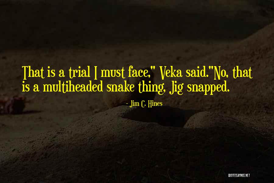 Jig Quotes By Jim C. Hines Jig Quotes By Jim C. Hines