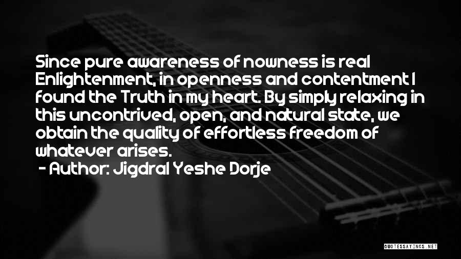 Jigdral Yeshe Dorje Quotes 1806597