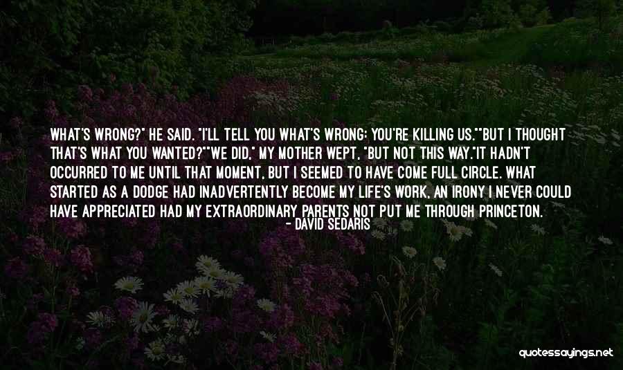 Jigged Up Customs Quotes By David Sedaris Jigged Up Customs Quotes By David Sedaris