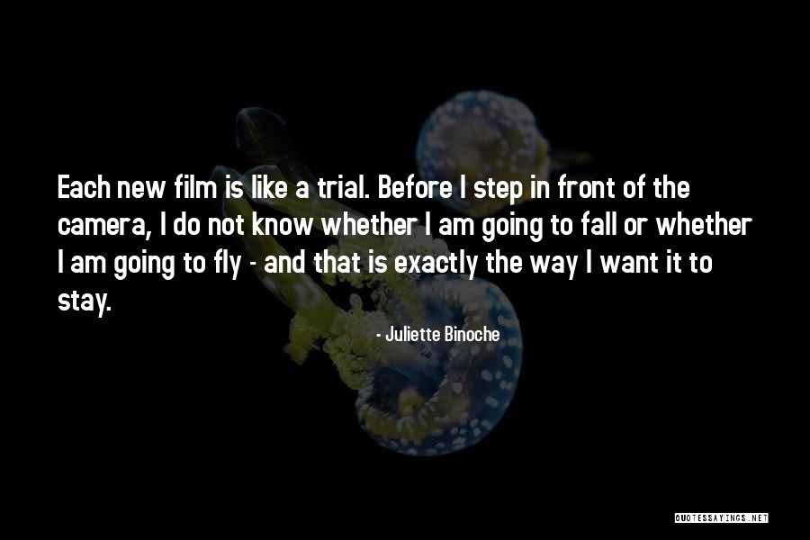 Jiggetts Taxi Quotes By Juliette Binoche Jiggetts Taxi Quotes By Juliette Binoche