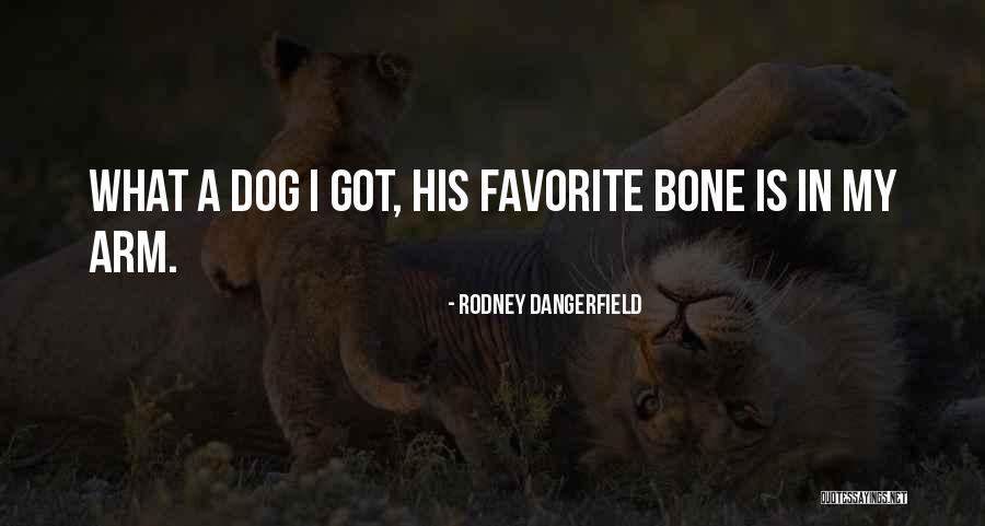 Jiggiest Quotes By Rodney Dangerfield Jiggiest Quotes By Rodney Dangerfield