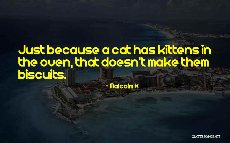 Jigglypuff Angry Quotes By Malcolm X Jigglypuff Angry Quotes By Malcolm X