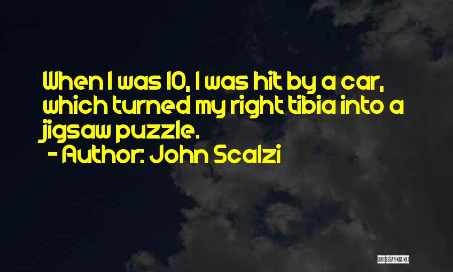 Jigsaw Puzzle Quotes By John Scalzi