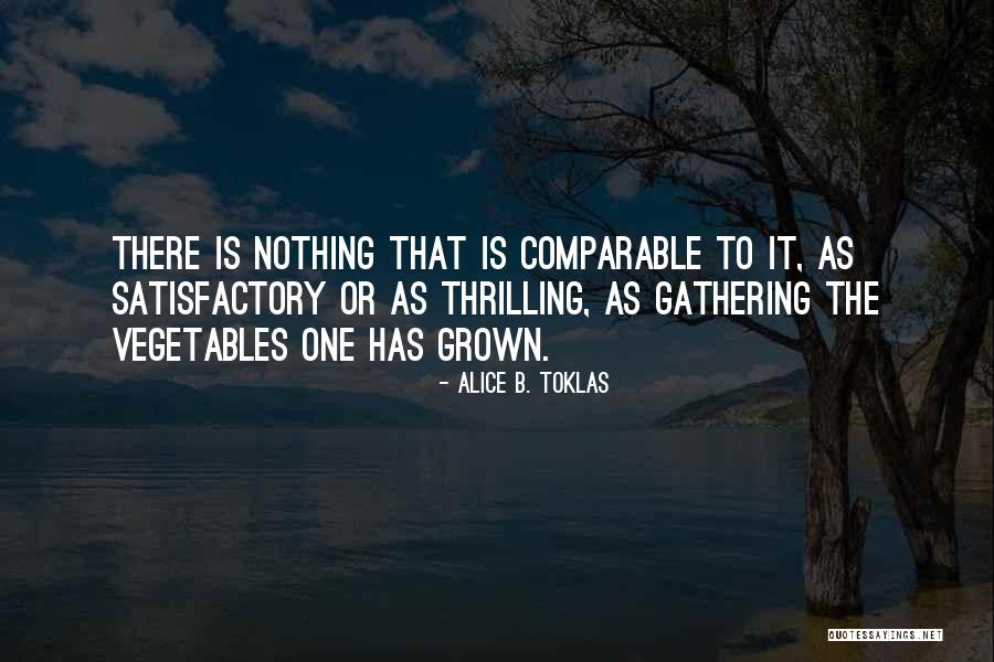 Jilek Dentist Quotes By Alice B. Toklas Jilek Dentist Quotes By Alice B. Toklas