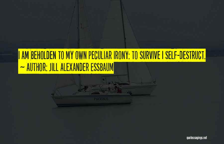 Jill Alexander Essbaum Quotes 699389