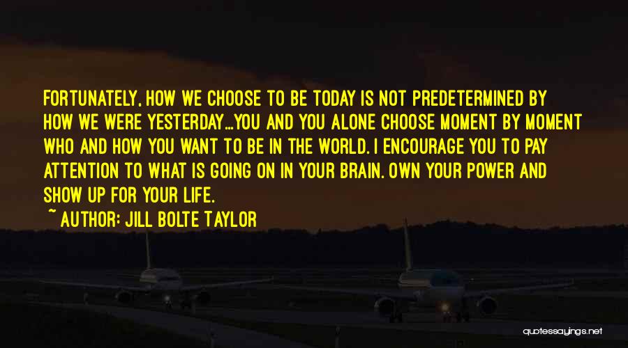 Jill Bolte Taylor Quotes 1112677