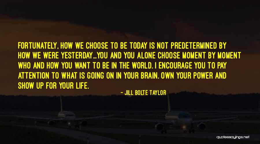 Jill Bolte Taylor Quotes 1112677