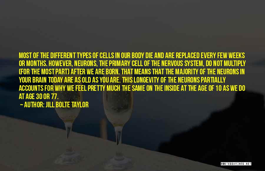 Jill Bolte Taylor Quotes 1697163