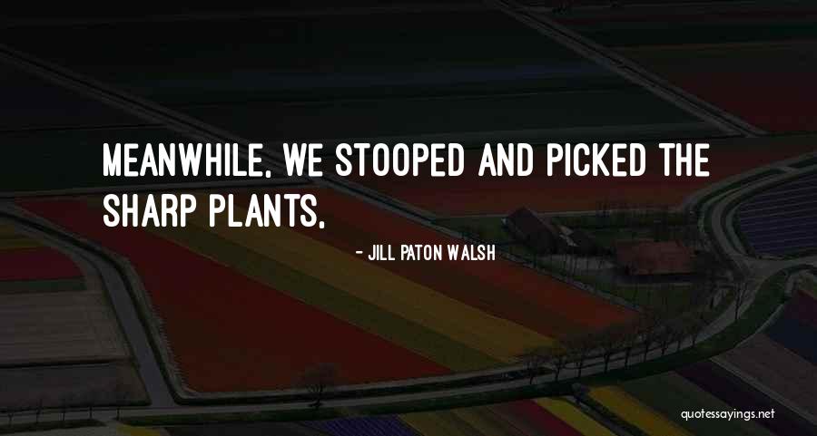 Jill Paton Walsh Quotes 921997 Jill Paton Walsh Quotes 921997