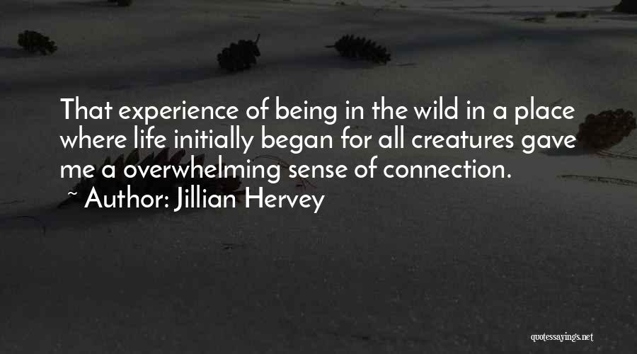 Jillian Quotes By Jillian Hervey