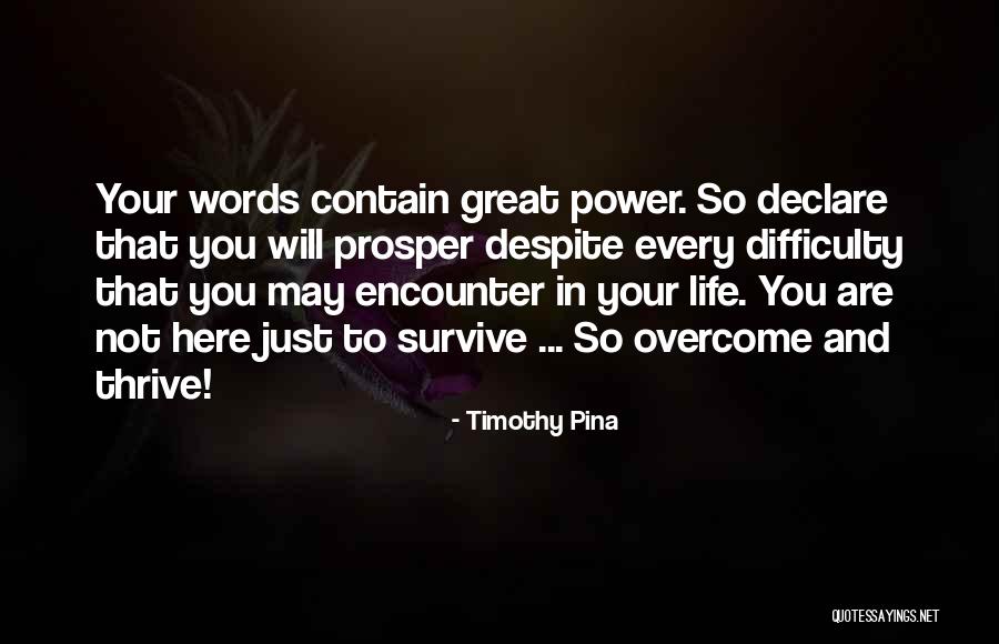 Jills Steals And Deals Quotes By Timothy Pina Jills Steals And Deals Quotes By Timothy Pina