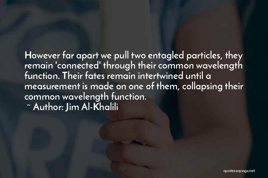Jim Al-Khalili Quotes 707672