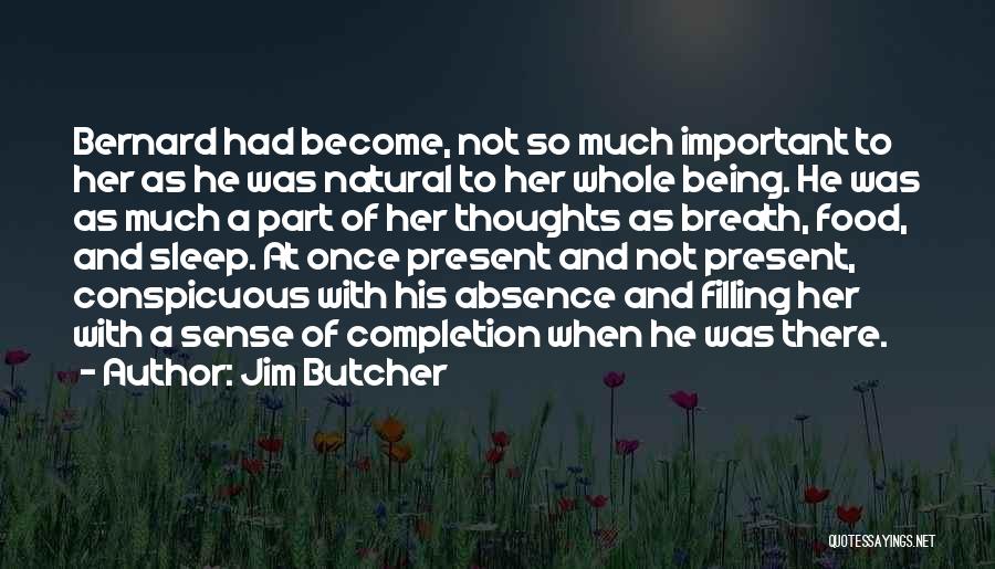 Jim Butcher Quotes 295754