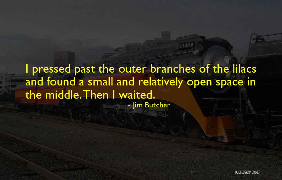 Jim Butcher Quotes 704153