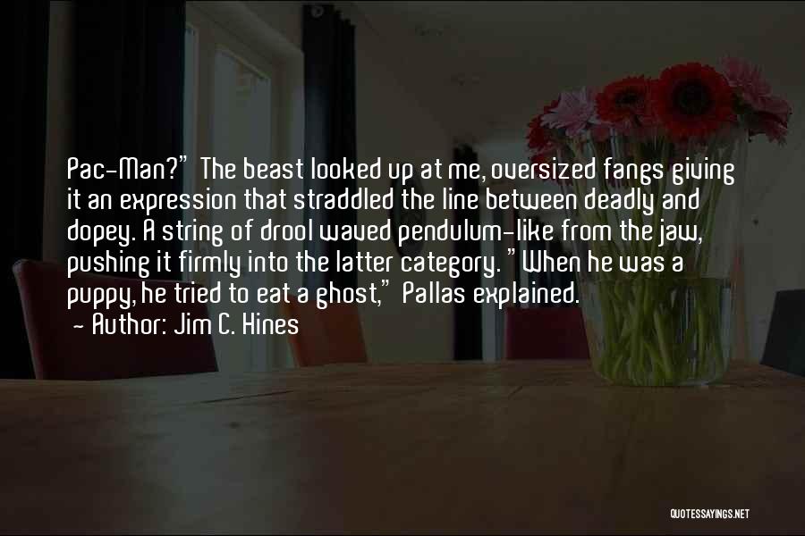 Jim C. Hines Quotes 1002269